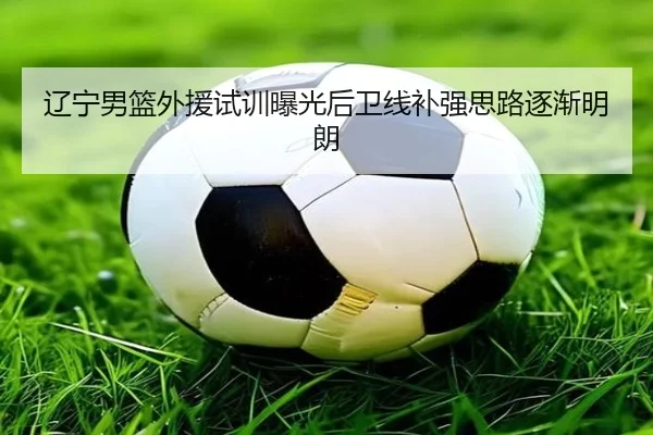 辽宁男篮外援试训曝光后卫线补强思路逐渐明朗